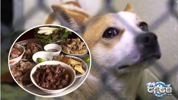 Ăn thịt chó đánh con gì trúng lô 99%?