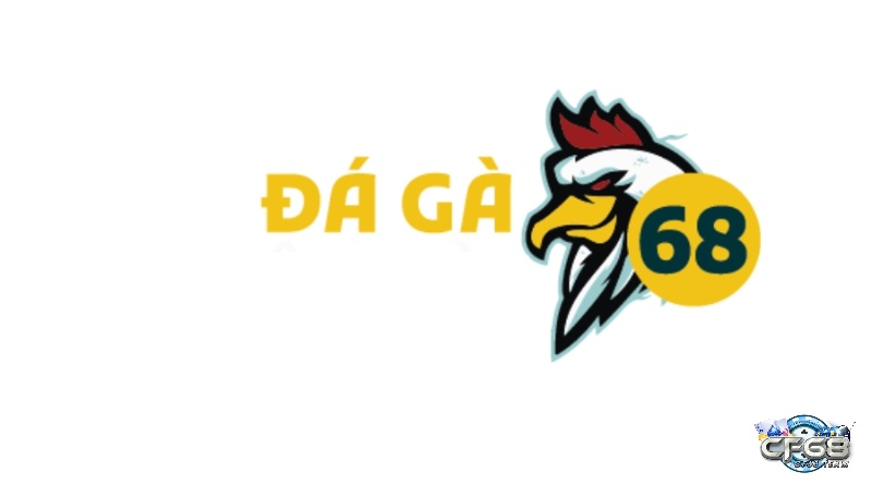Đa Ga 68 – Sân chơi cá cược đá gà hàng đầu châu Á