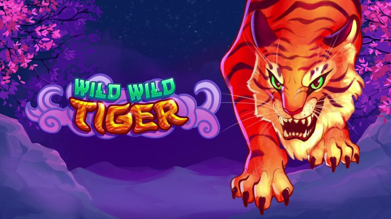Game Slot Wild Wild Tiger đầy mê hoặc, phiêu lưu hoang dã