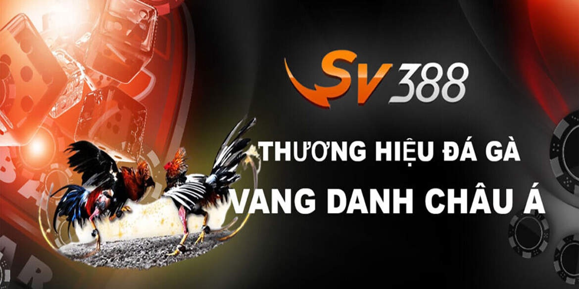 Đá gà sv388 - Sân chơi đá gà trực tuyến uy tín và chất lượng