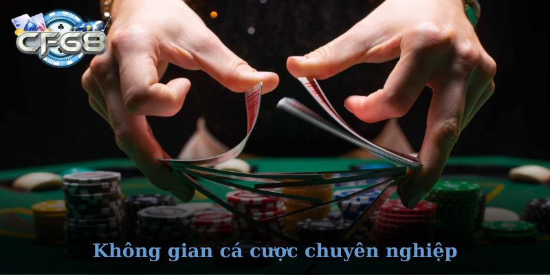 Trải nghiệm không gian cá cược chuyên nghiệp