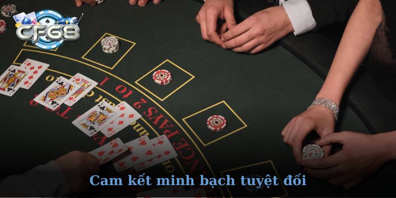 Hệ thống ưu đãi và sự kiện hấp dẫn